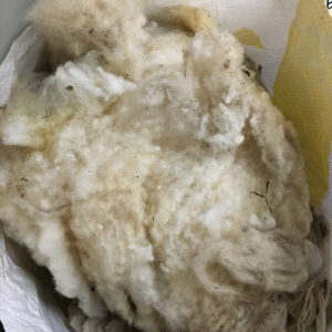 Create Wool Clothing